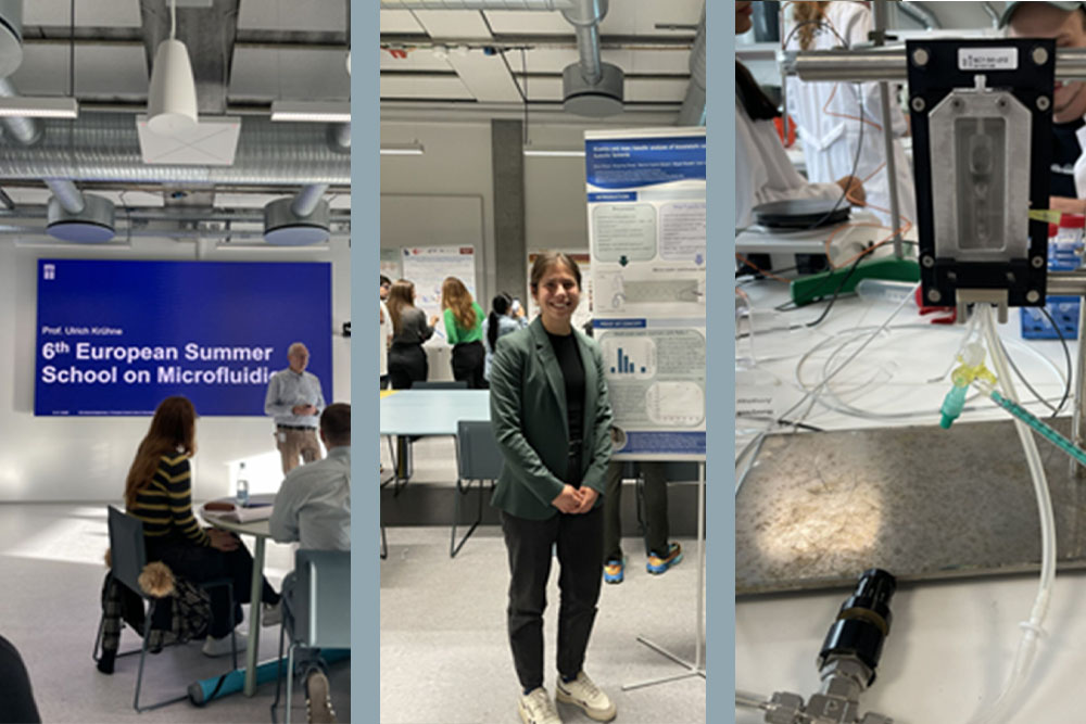 Greetings from EuroMBR Summerschool in Copenhagen! 🇩🇰